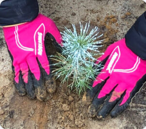 ISON Pro świadomy ESG